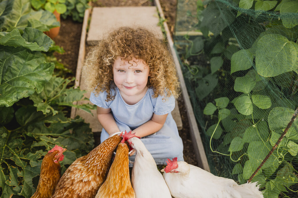 Stockfoto, lizenzfrei, Porträt eines kleinen Mädchens beim Hühnerfüttern im Schrebergarten