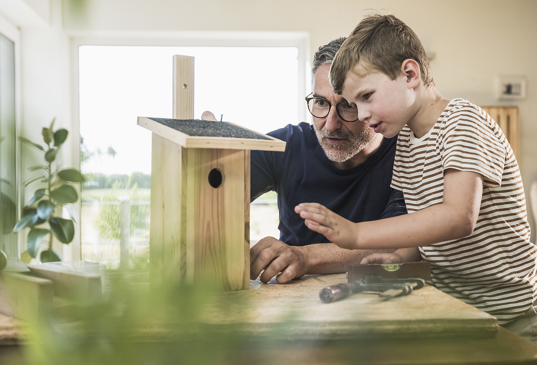 Stock Image, Royalty Free, Boy making birdhouse with grandfather at home