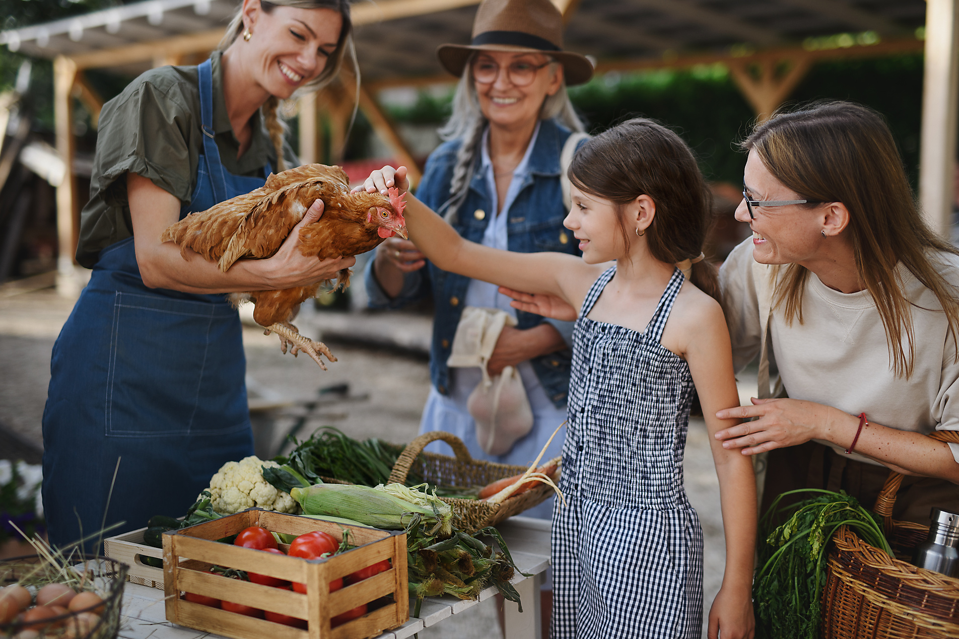 Stock image, royalty free stock photo, A little girl with mother stroking hen outdoors at community farmers market