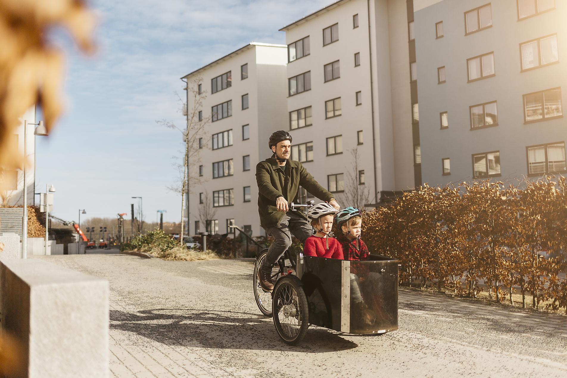 Man cycling with his sons Royalty-free image Man cycling with his sons
Royalty-free image