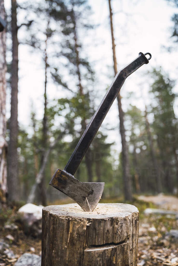 axe-on-tree-stump-KKAF02395.jpg