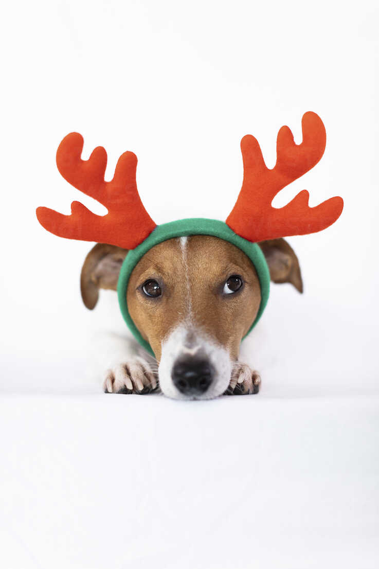 KUDES Dog Christmas Reindeer Antlers Headband Classic Elk Hat Headwear Pet Costumes Accessories 