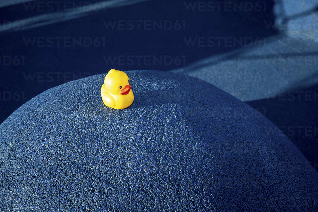 Rubber Duck with Skateboard 